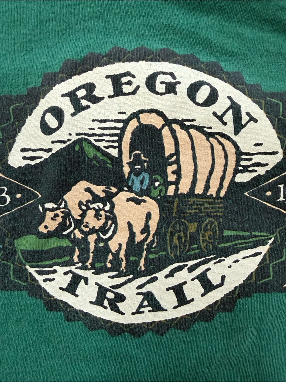 Vintage 90s Single Stitch Hanes Oregon Trail T-Shirt Green 100% Cotton USA S/M - Picture 5 of 9